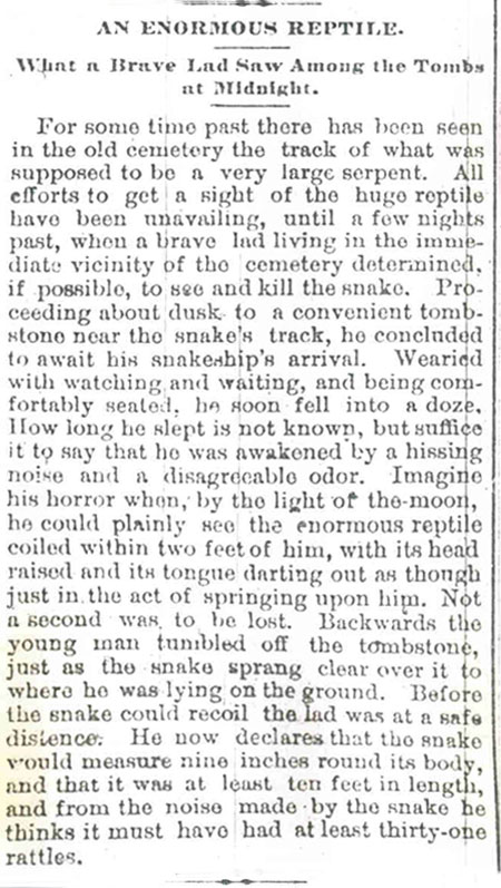 Young Lad Sees Large Snake