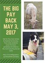 Big Payback Flyer